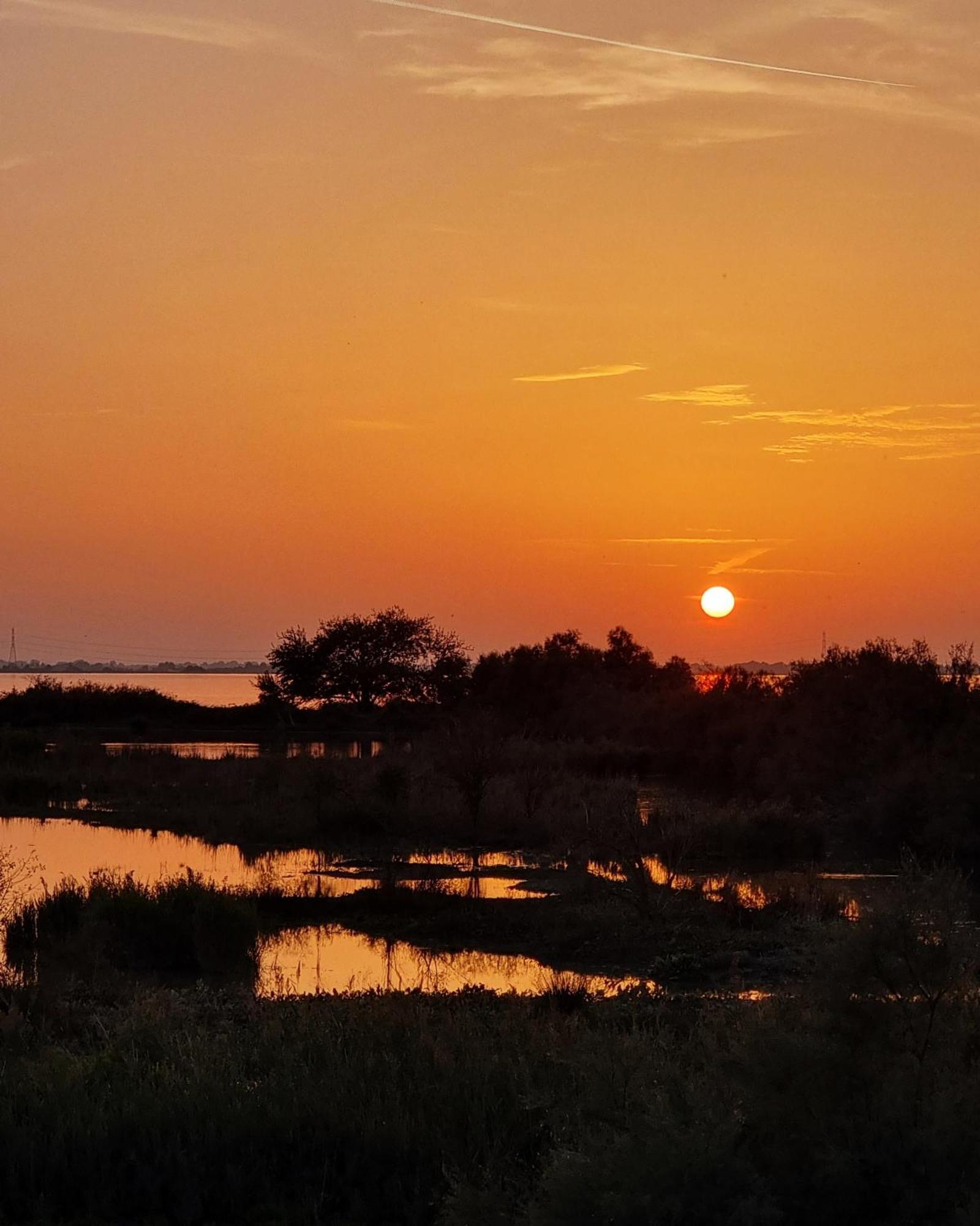 Al Ponticello Bed & Breakfast Comacchio Exterior photo